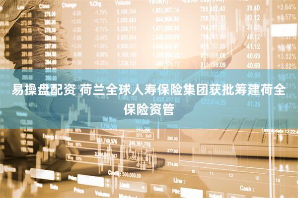 易操盘配资 荷兰全球人寿保险集团获批筹建荷全保险资管