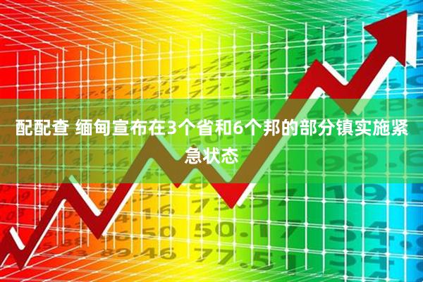 配配查 缅甸宣布在3个省和6个邦的部分镇实施紧急状态
