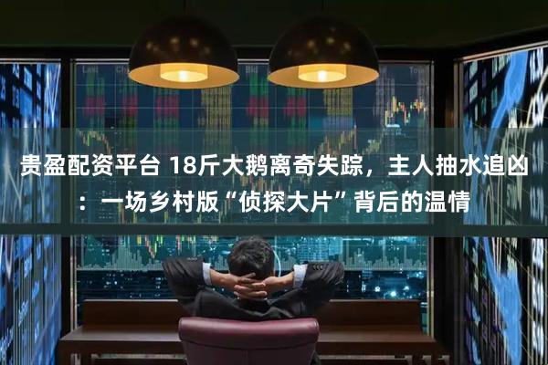 贵盈配资平台 18斤大鹅离奇失踪,主人抽水追凶:一场乡村版“侦探大片”背后的温情