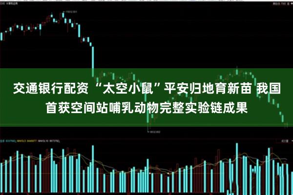 交通银行配资 “太空小鼠”平安归地育新苗 我国首获空间站哺乳动物完整实验链成果