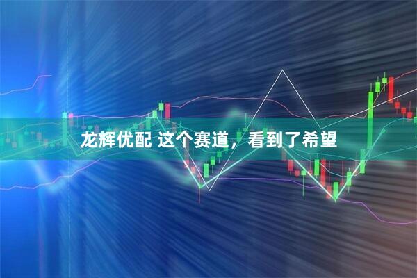 龙辉优配 这个赛道，看到了希望